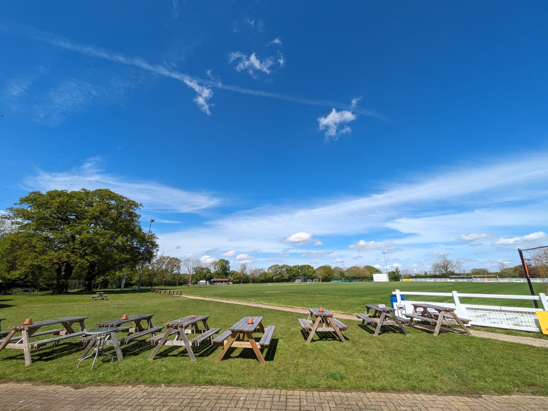 The club's pitches and grounds